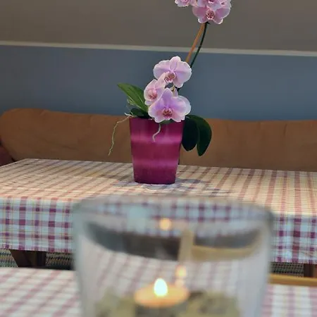 Casa de hóspedes Silec 3*