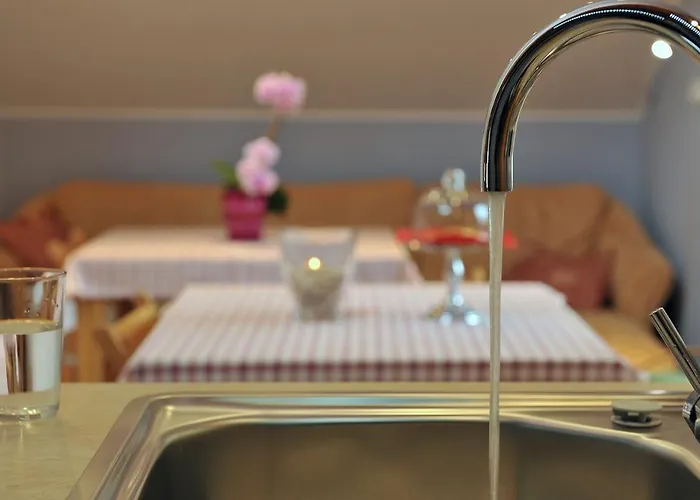 ゲストハウス Silec Šmarje pri Jelšah