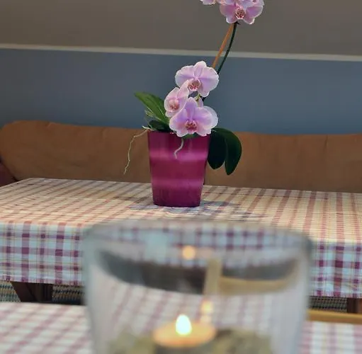 ゲストハウス Silec 3*